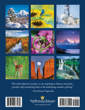 Load image into Gallery viewer, Inner Reflections 2026