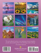 Load image into Gallery viewer, Inner Reflections 2025