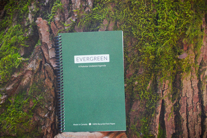 Evergreen - Undated